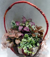 /album/%cf%86%cf%85%cf%84%ce%ac/a29-jpg2/